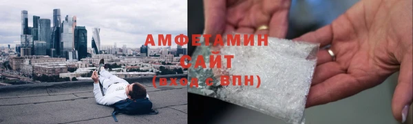 шишки Магас