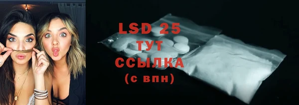 шишки Магас