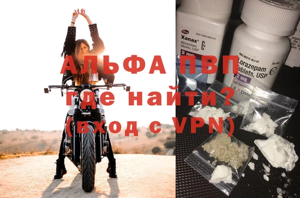 шишки Магас