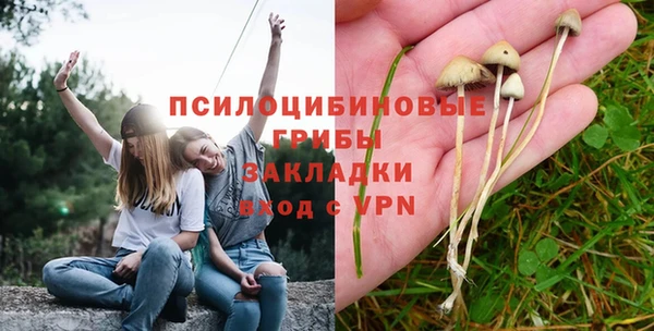 шишки Магас