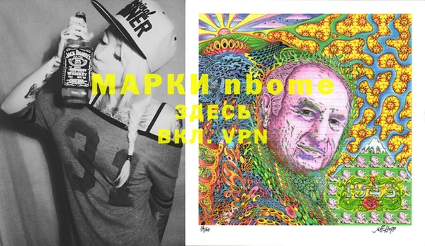 шишки Магас