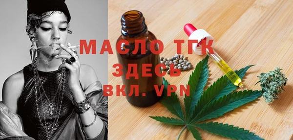 шишки Магас