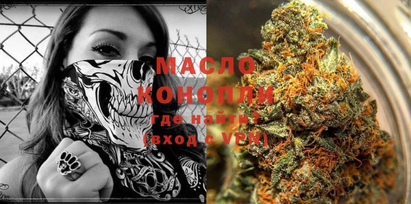 шишки Магас