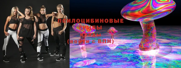 шишки Магас