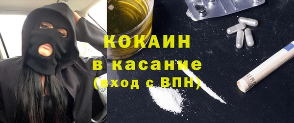 шишки Магас