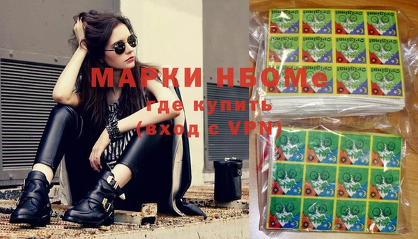 шишки Магас