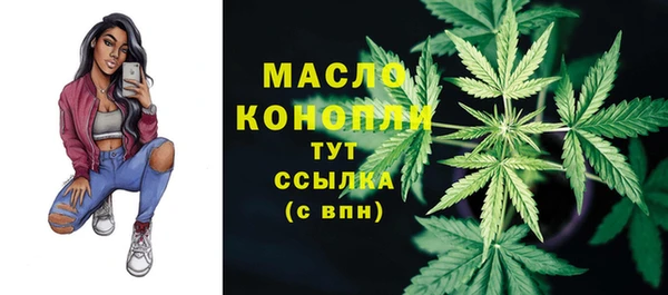 шишки Магас
